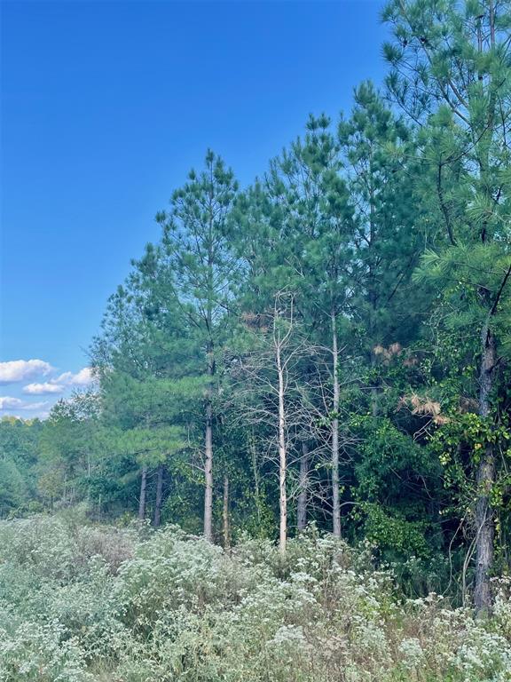 693 Timber Creek Trails South XI