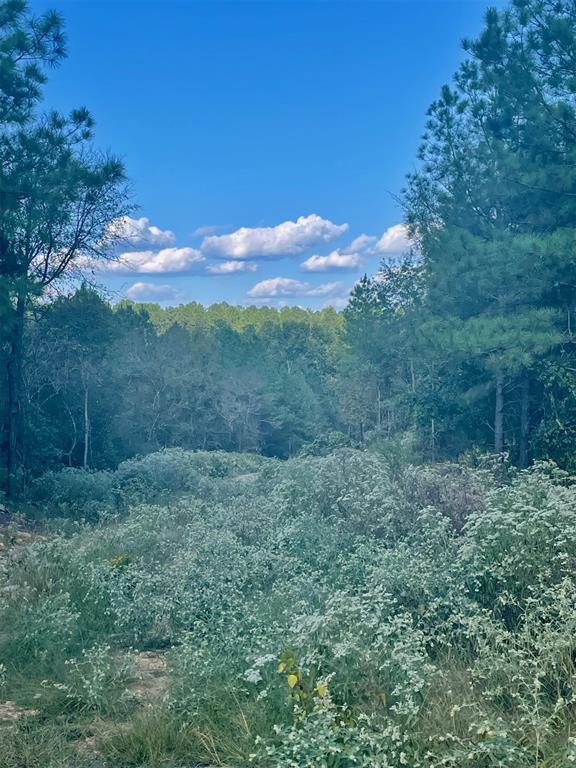 693 Timber Creek Trails South XI