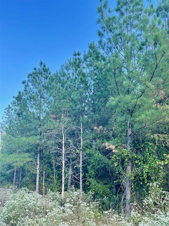693 Timber Creek Trails South XI