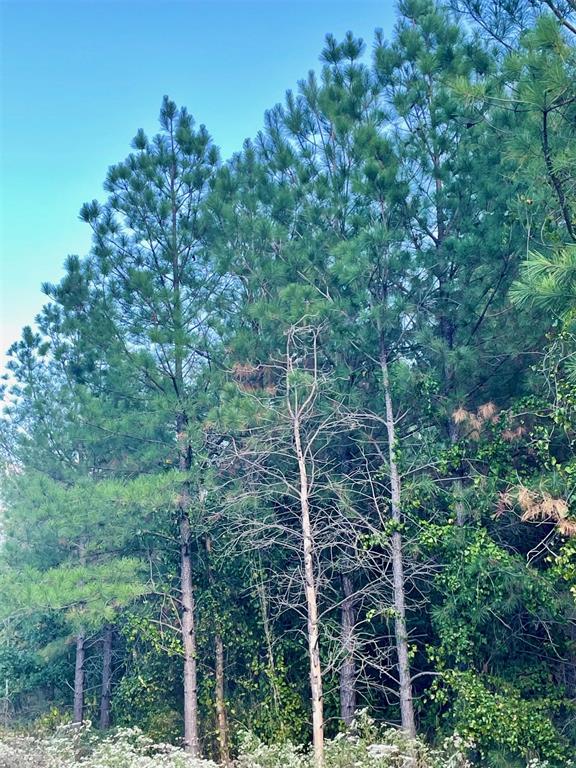 693 Timber Creek Trails South XI