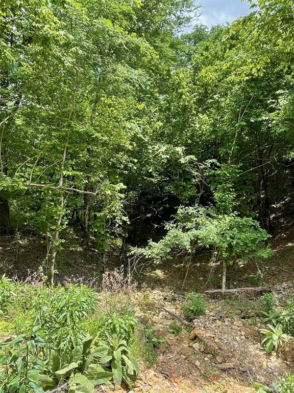 694 Timber Creek Trails South XI