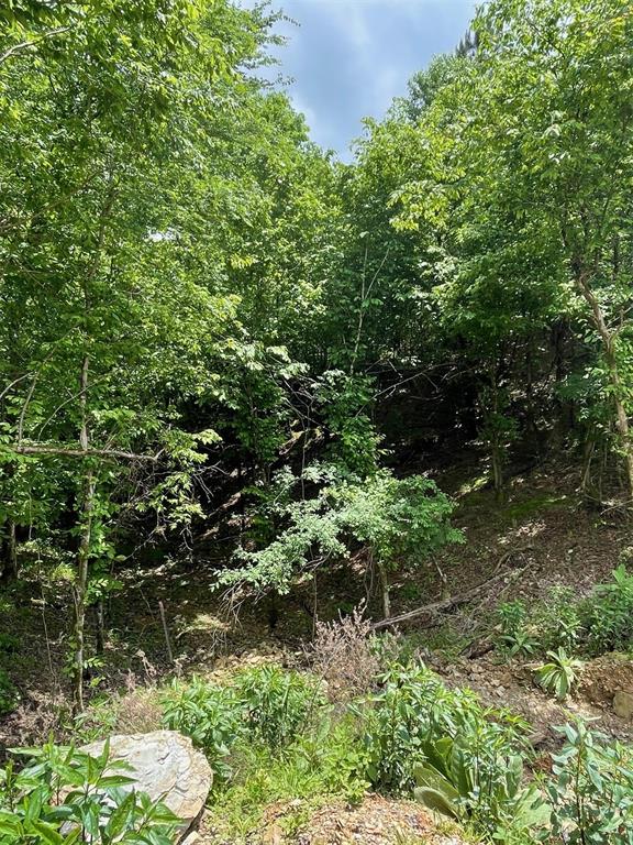 694 Timber Creek Trails South XI