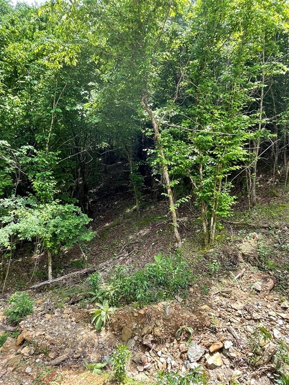694 Timber Creek Trails South XI