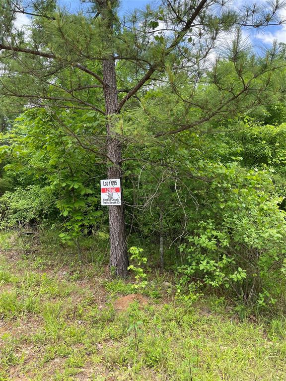 695 Timber Creek Trails South XI