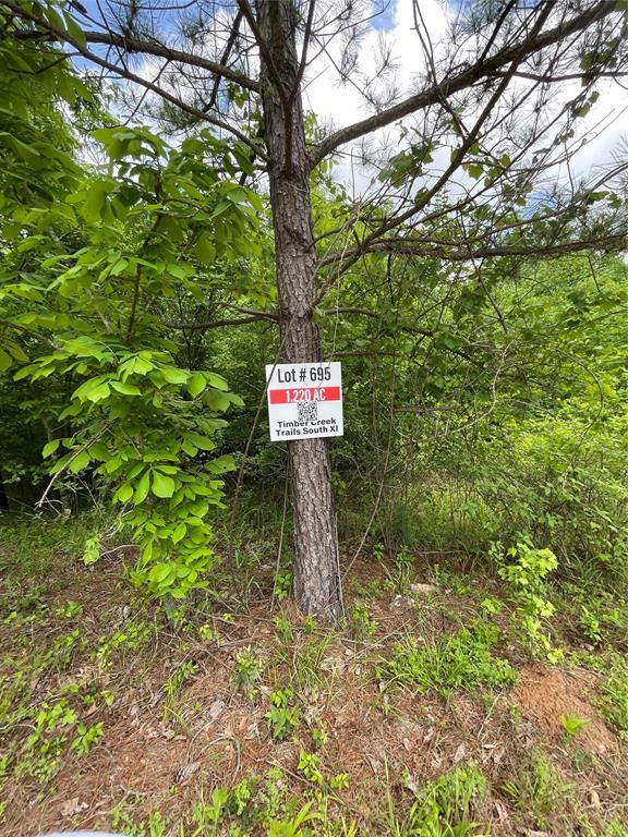 695 Timber Creek Trails South XI