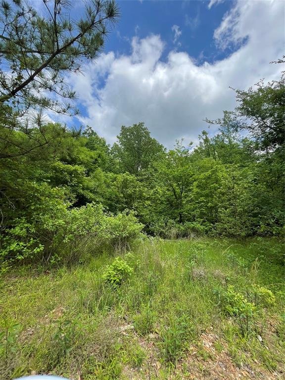 695 Timber Creek Trails South XI