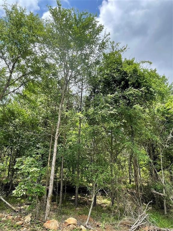 696 Timber Creek Trails South XI