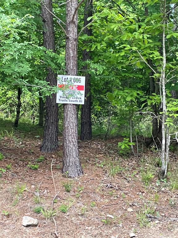 696 Timber Creek Trails South XI