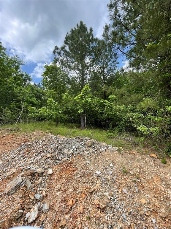 696 Timber Creek Trails South XI
