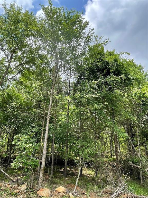 697 Timber Creek Trails South XI