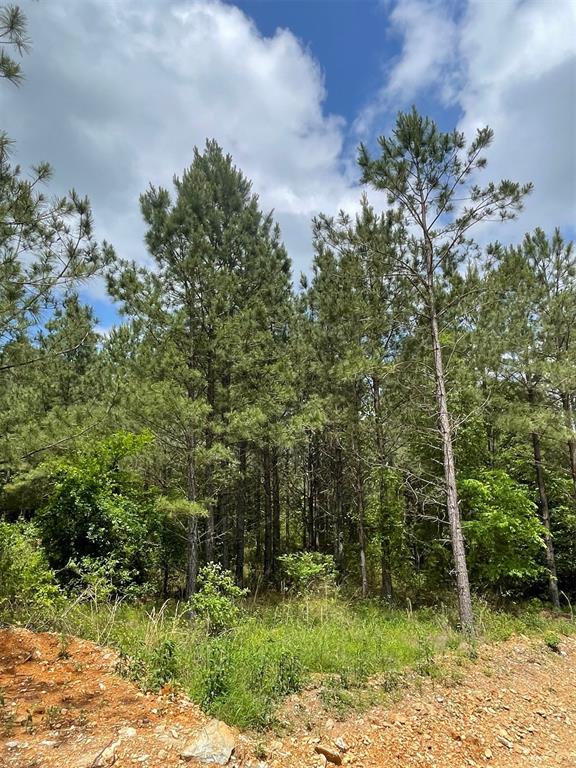 697 Timber Creek Trails South XI