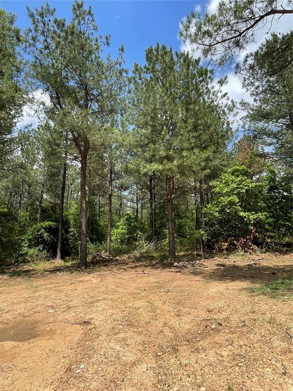 698 Timber Creek Trails South XI