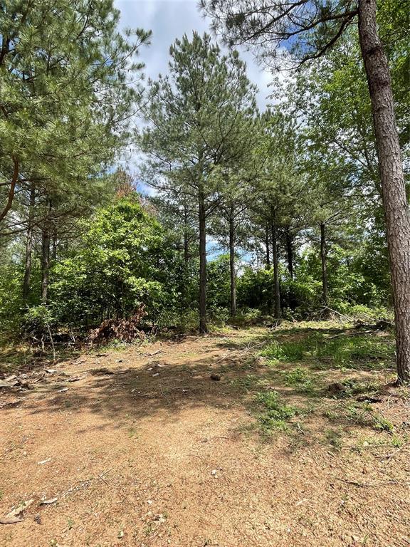 698 Timber Creek Trails South XI