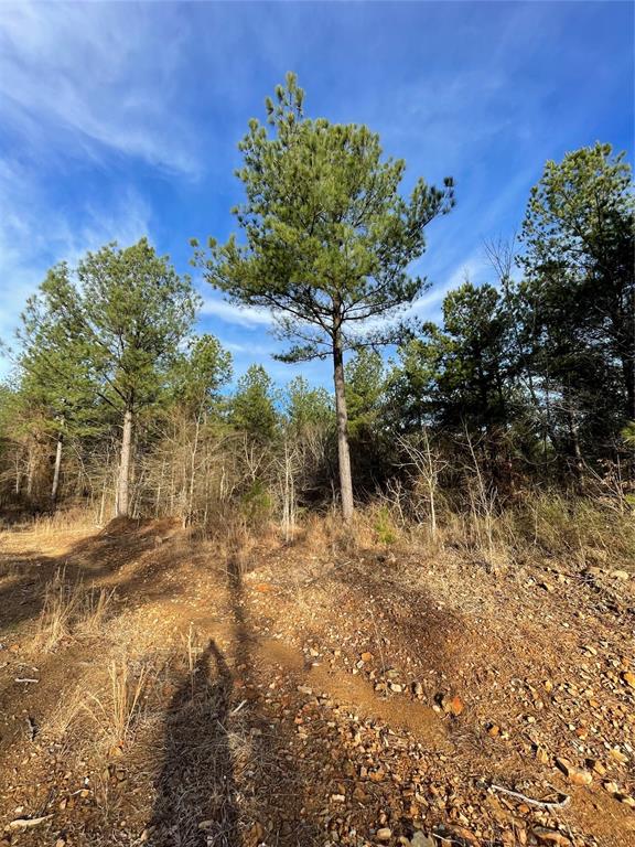 699 Timber Creek Trails South XI