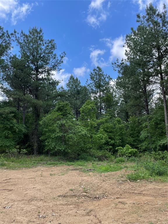699 Timber Creek Trails South XI