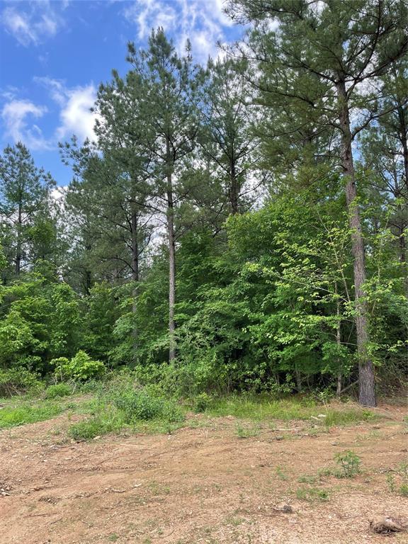 699 Timber Creek Trails South XI