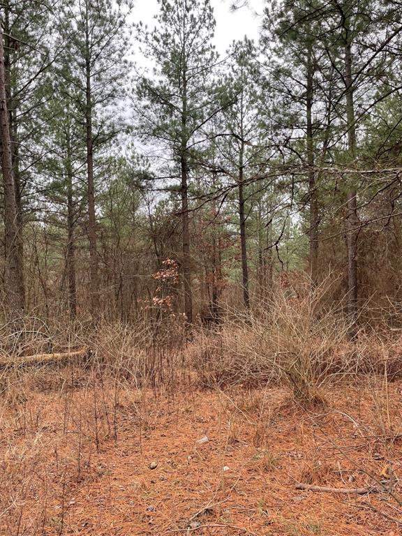 700 Timber Creek Trails South XI