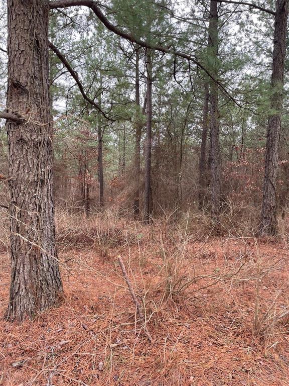 700 Timber Creek Trails South XI