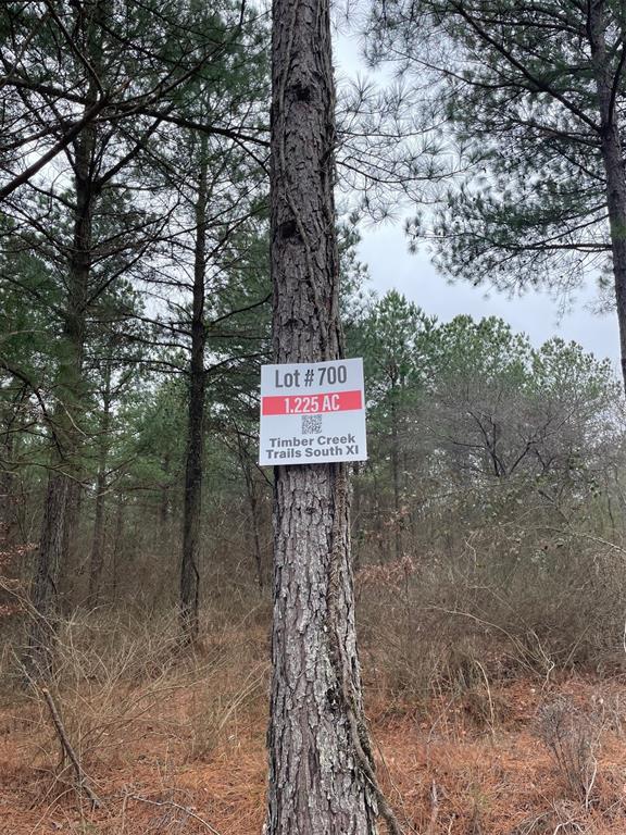 700 Timber Creek Trails South XI