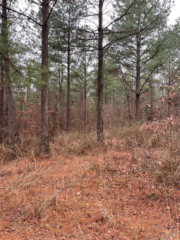 700 Timber Creek Trails South XI