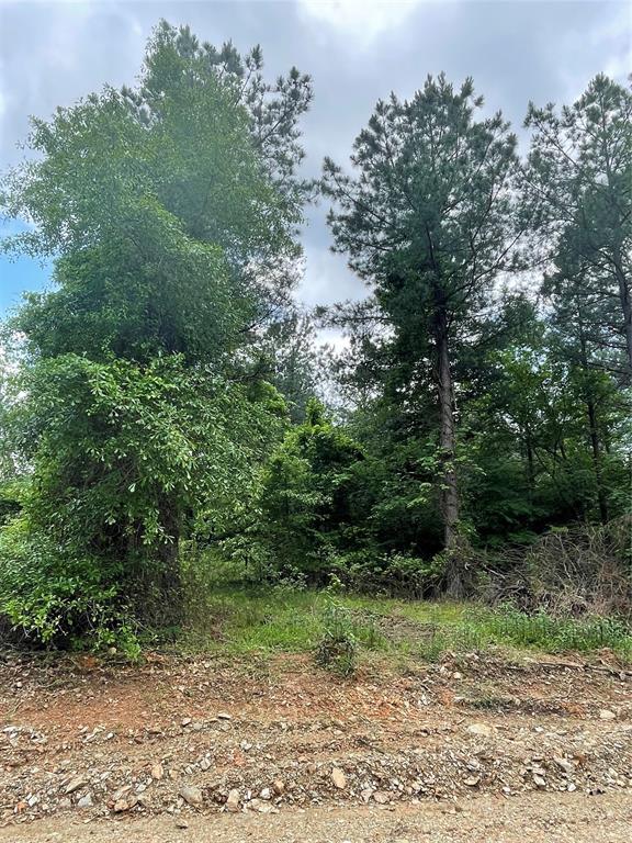 701 Timber Creek Trails South XI