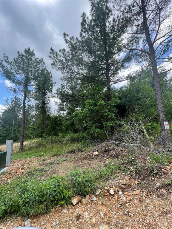 701 Timber Creek Trails South XI