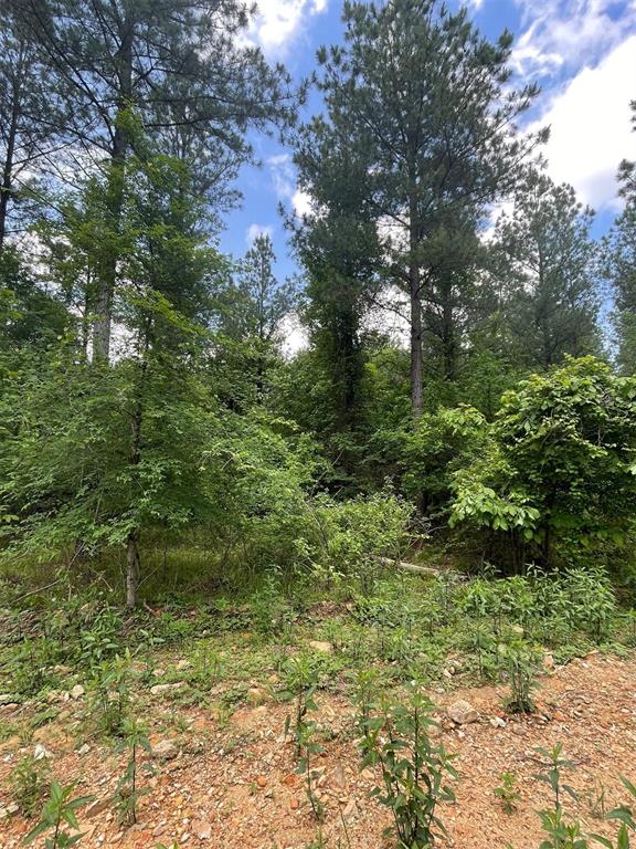 702 Timber Creek Trails South XI