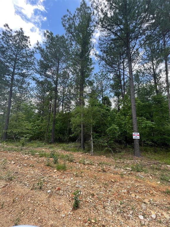 702 Timber Creek Trails South XI
