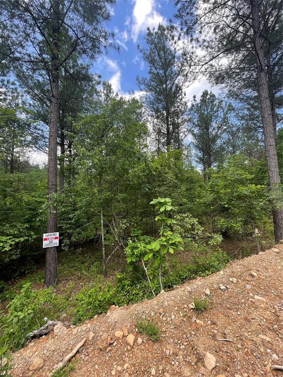 703 Timber Creek Trails South XI