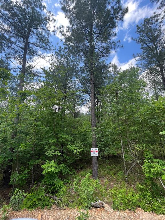 703 Timber Creek Trails South XI