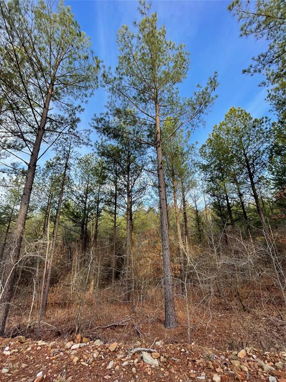 703 Timber Creek Trails South XI