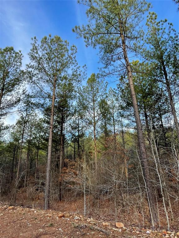 703 Timber Creek Trails South XI