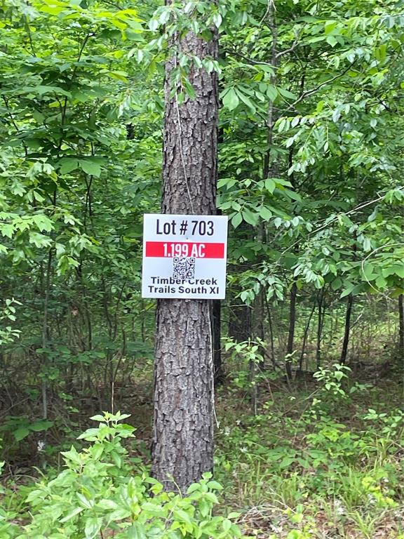 703 Timber Creek Trails South XI