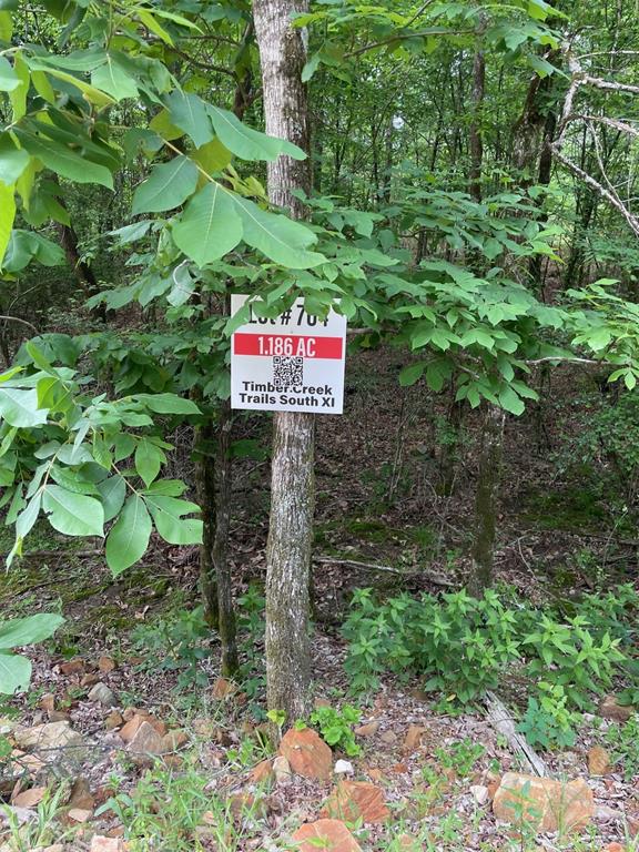704 Timber Creek Trails South XI