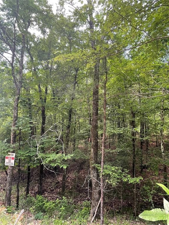 704 Timber Creek Trails South XI