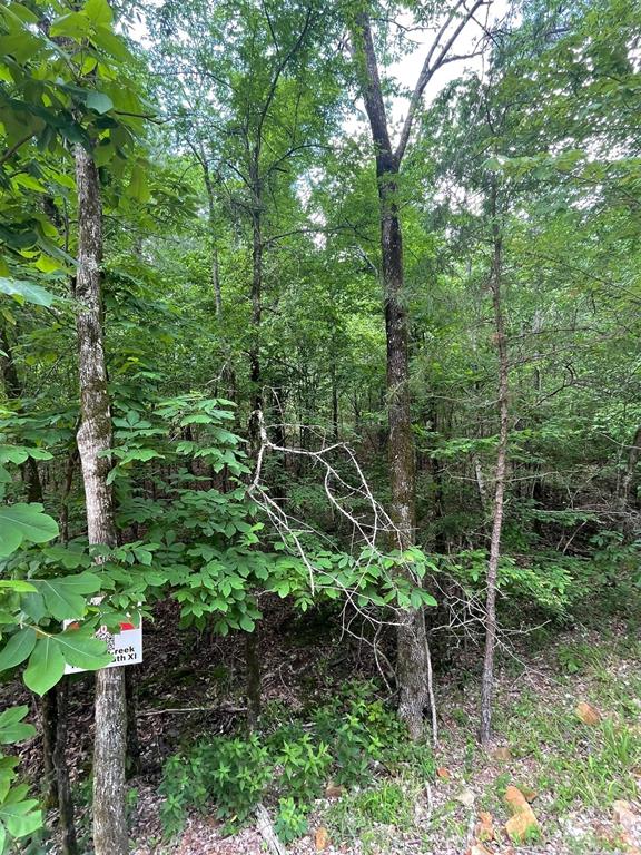 704 Timber Creek Trails South XI