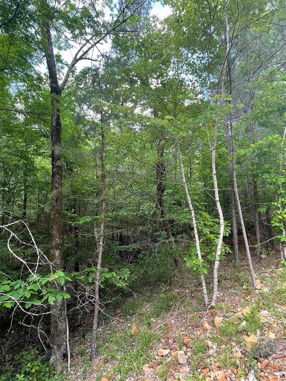 704 Timber Creek Trails South XI