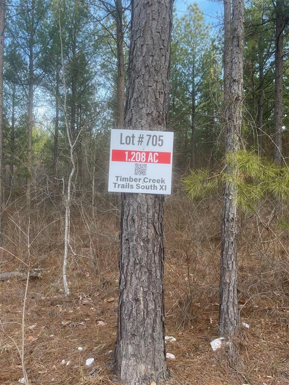 705 Timber Creek Trails South XI