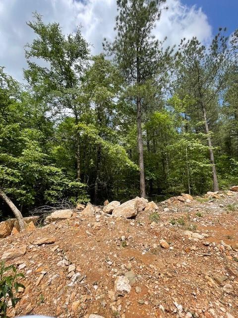 705 Timber Creek Trails South XI