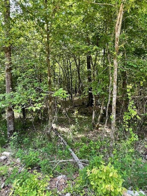 706 Timber Creek Trails South XI