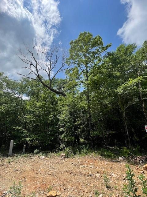 706 Timber Creek Trails South XI