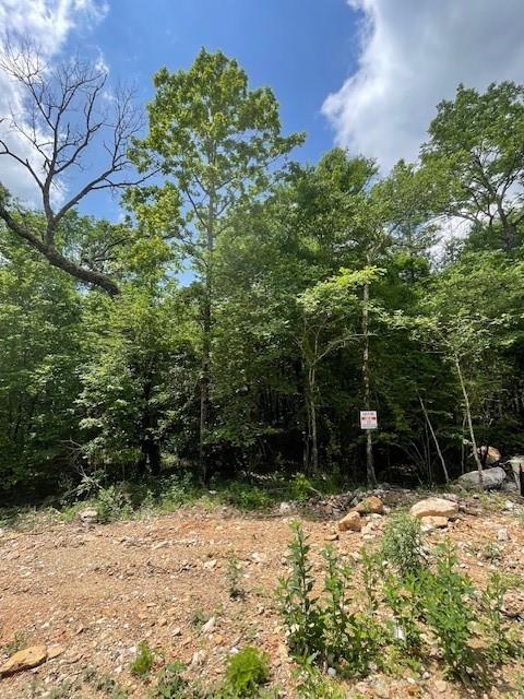 706 Timber Creek Trails South XI