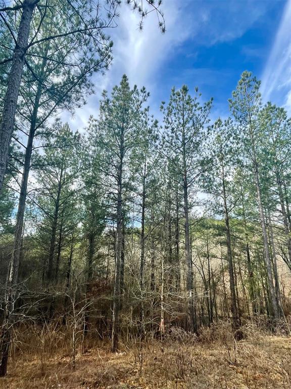 707 Timber Creek Trails South XI