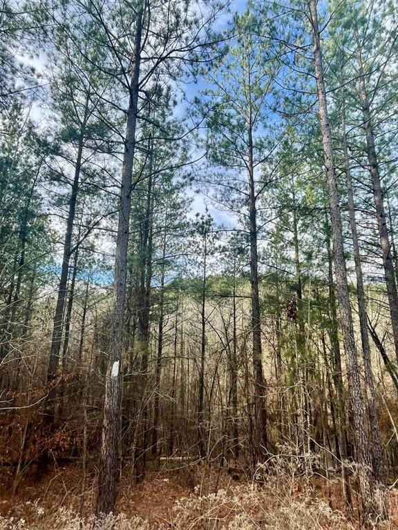 707 Timber Creek Trails South XI