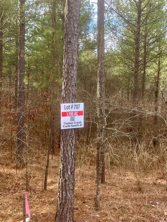 707 Timber Creek Trails South XI