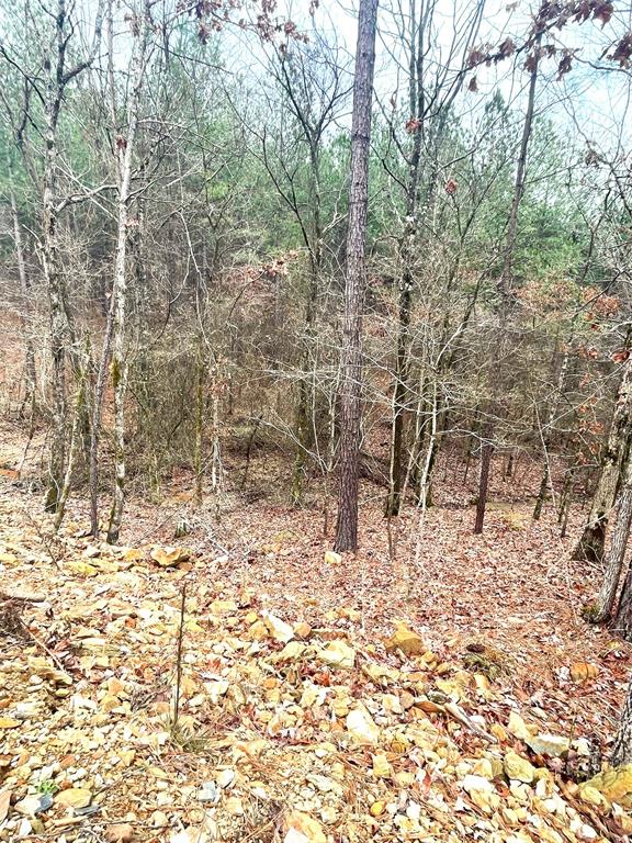 708 Timber Creek Trails South XI