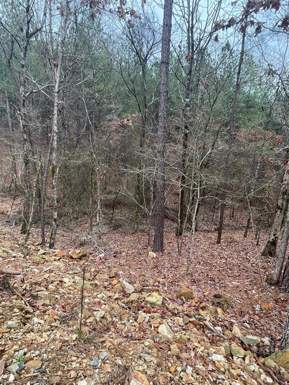 708 Timber Creek Trails South XI