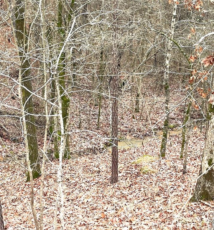 708 Timber Creek Trails South XI