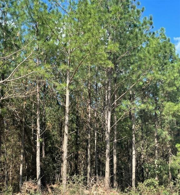 709 Timber Creek Trails South XI