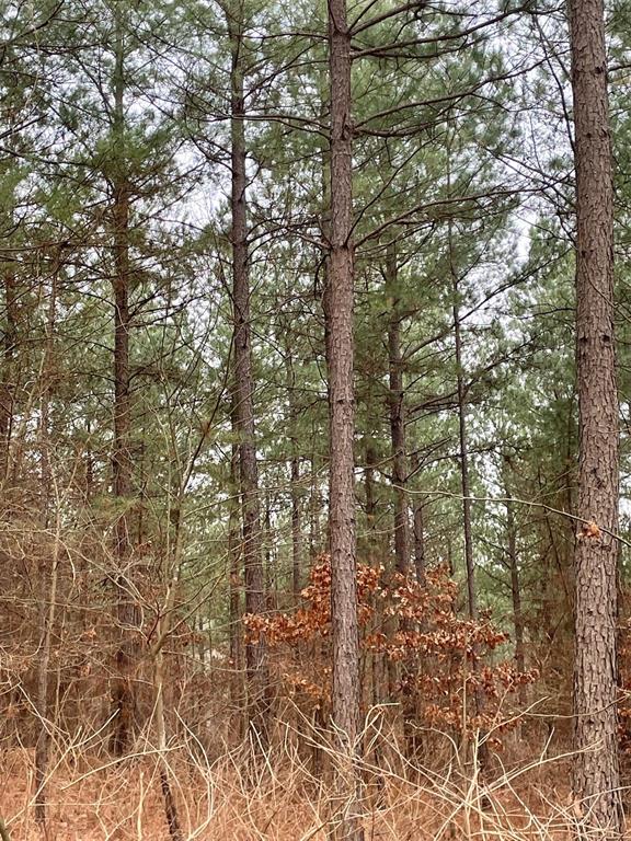 709 Timber Creek Trails South XI